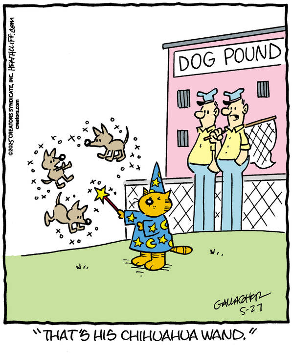 actual heathcliff comics tweet media