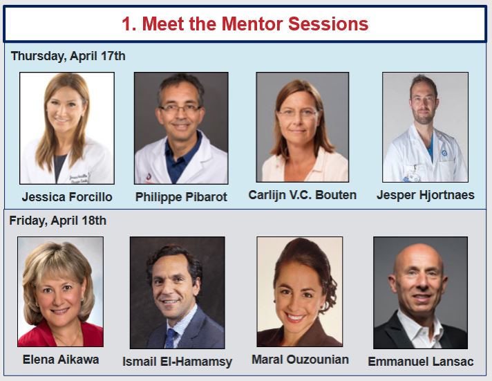 The Young Professionals Network (YPN) had a strong presence at the HVS2025 Meeting in Cairo
We celebrated the 1st cohort of YPN travel awardees!
The interactive 'Meet the Mentor' sessions were a highlight of the program.