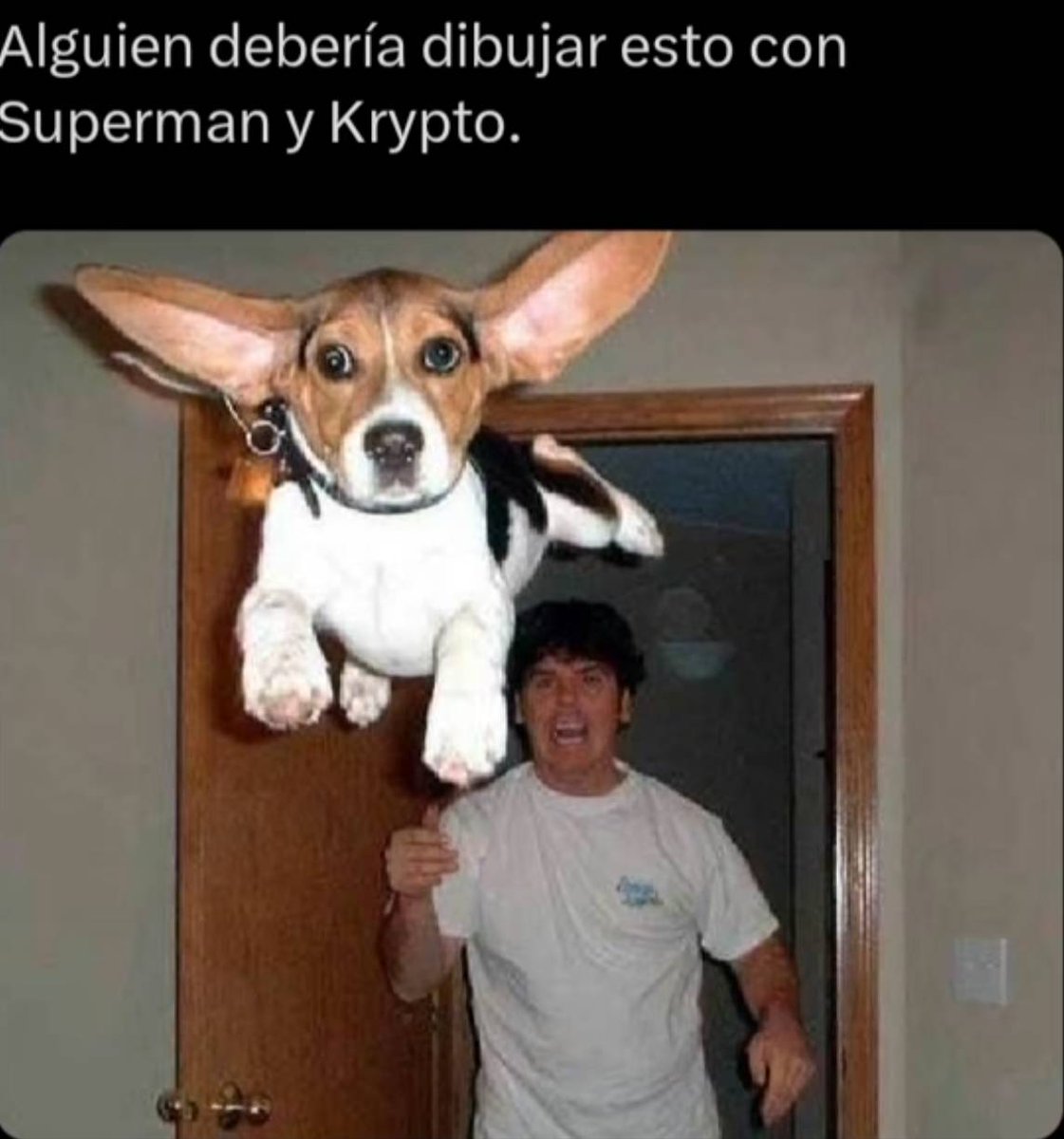 Lofi_jsjs's tweet image. ostia