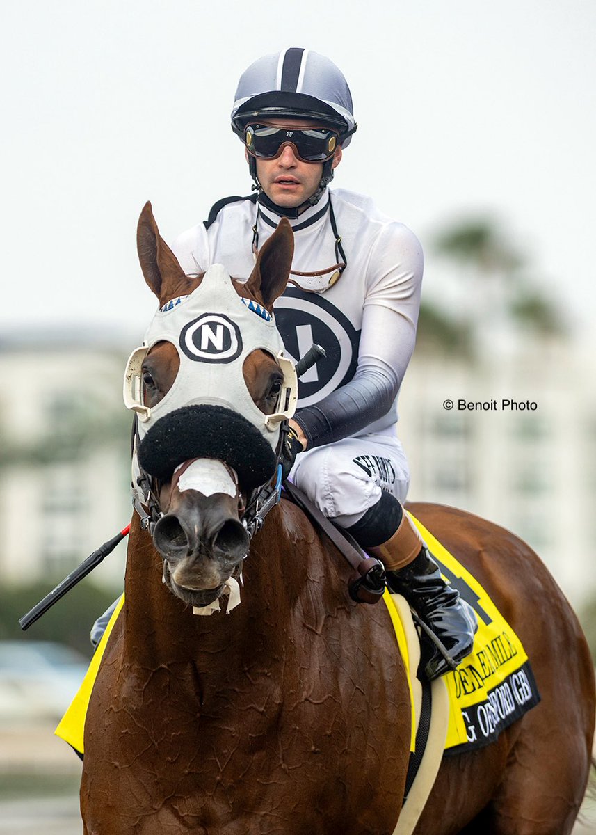 benoitphoto_'s tweet image. King of Gosford and jockey Flavien Prat, outside, overpower Mi Hermano Ramon, middle, and Cabo Spirit, inside, to win the Grade I, $300,000 Shoemaker Mile, Monday, May 26, 2025 at Santa Anita Park, Arcadia CA.

View all our photos at benoitphoto.com/store/ 

© BENOIT PHOTO