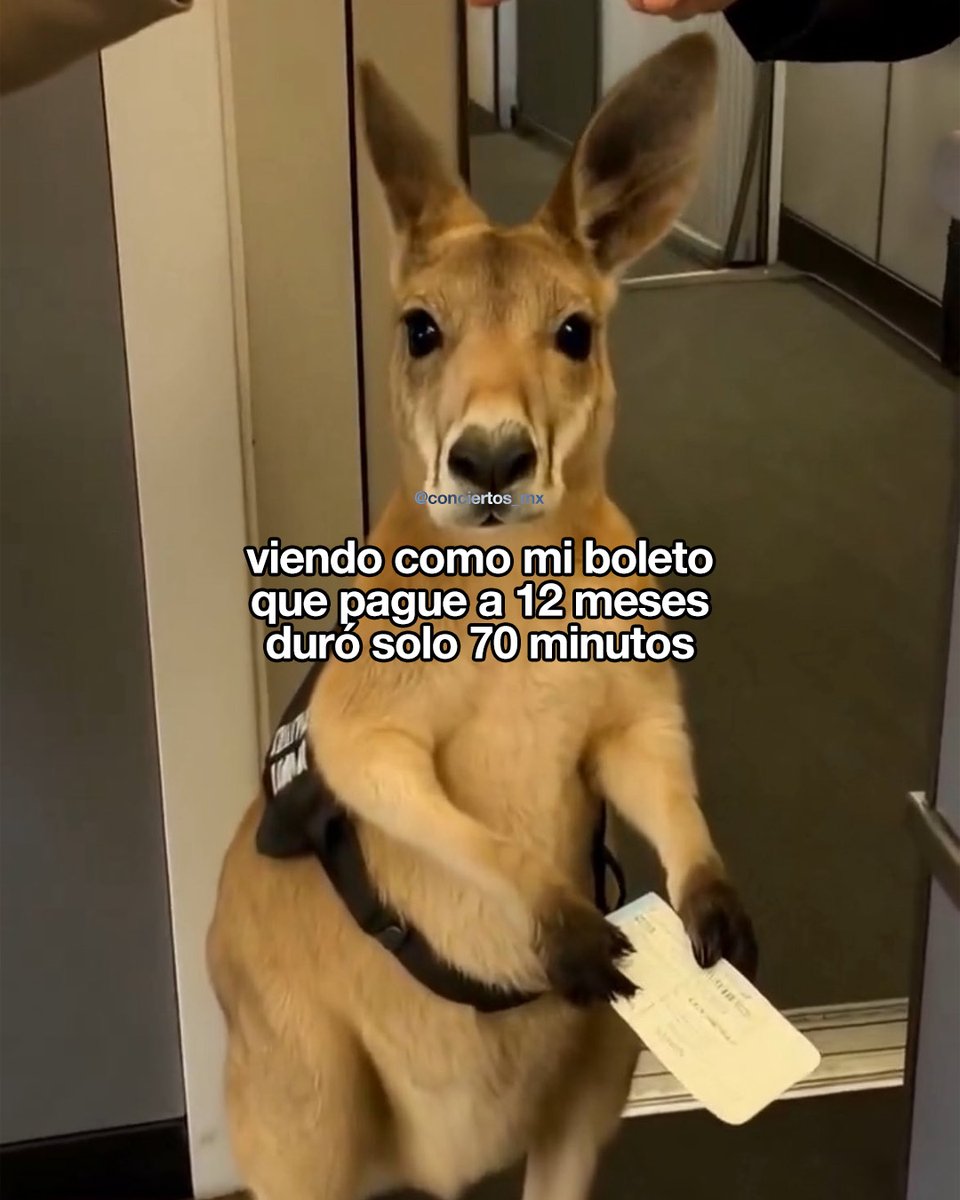 Conciertos México (@conciertosmxico) on Twitter photo 