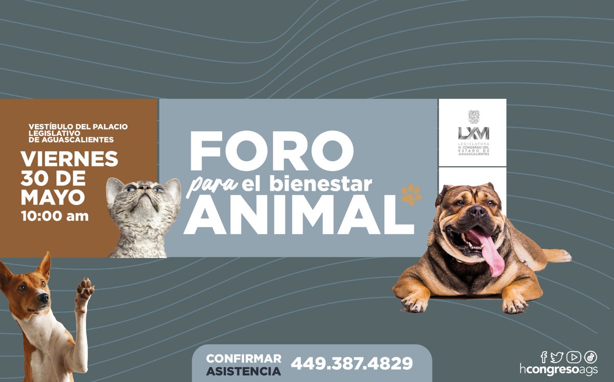 El Congreso de Aguascalientes, a través de la Comisión de Justicia, invita a todos los ciudadanos interesados en el tema de protección animal, al FORO PARA EL BIENESTAR ANIMAL. Acceso libre

¡Participa, te esperamos!

#66Legislatura
#ElCongresodelaGenteBuena