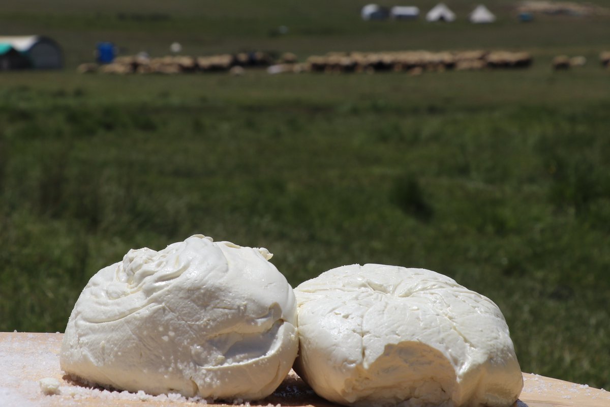 TurkiyePD's tweet photo. With its off-white color, crumbly texture, and salty flavor, #Erzincan Tulum Cheese is now the 32nd Turkish product to receive Geographical Indication (GI) protection in the EU. 🧀

The designation highlights the unique regional qualities of this traditional cheese.🇹🇷🇪🇺 https://t.co/s7QJzZWWW0
