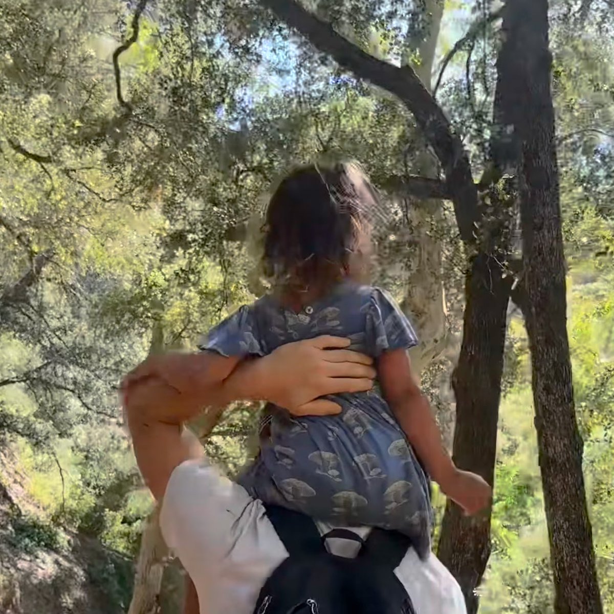 futurejiara's tweet image. family hike day 🌳❤️☀️
