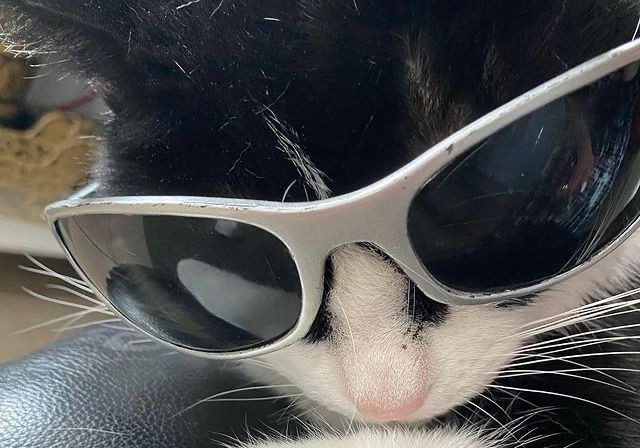 ele ִֶָ𖤐 ¦ aus haikyuu 📌 tweet media