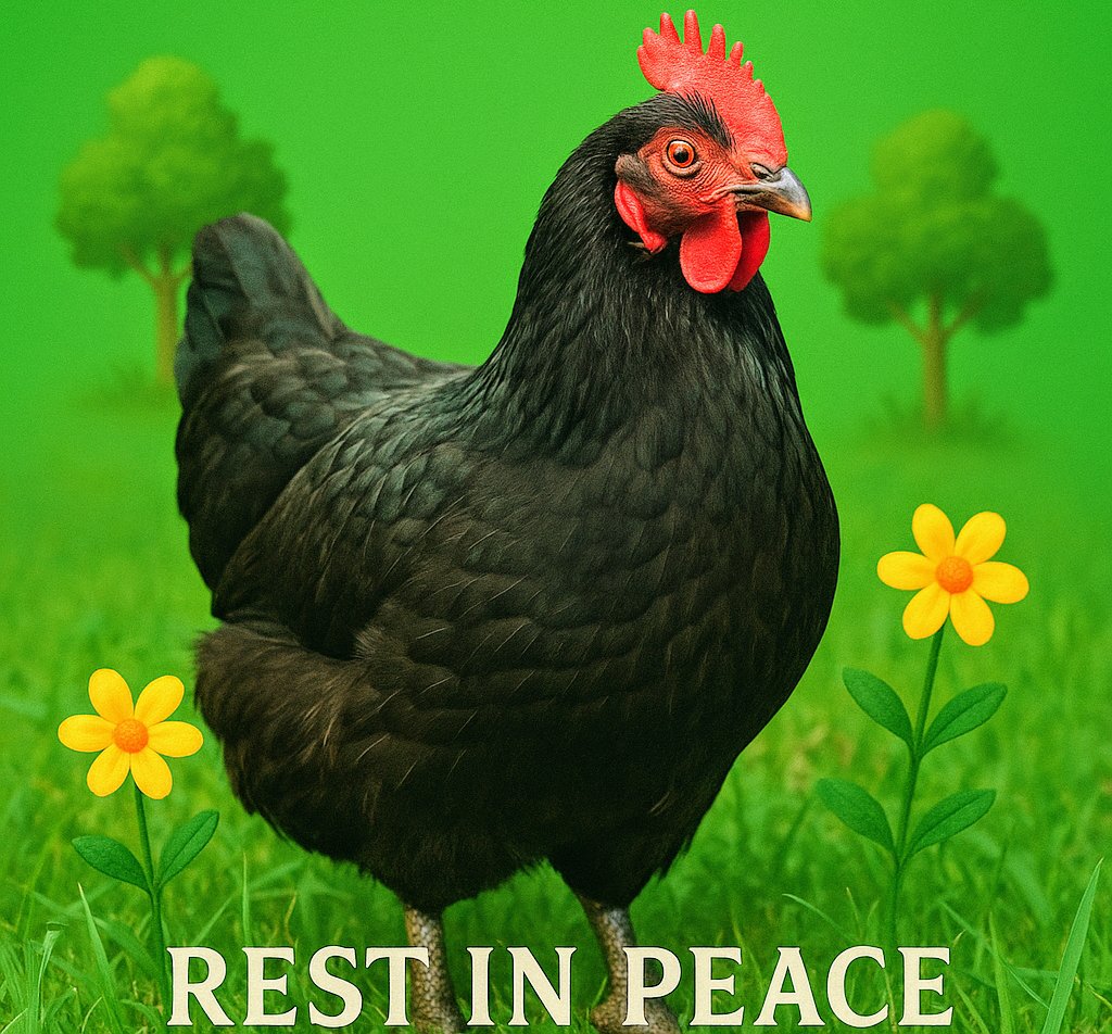 AlienSkinUg's tweet photo. R.I.P Comrade 🕊️🕊️ https://t.co/JeYncBGEOz