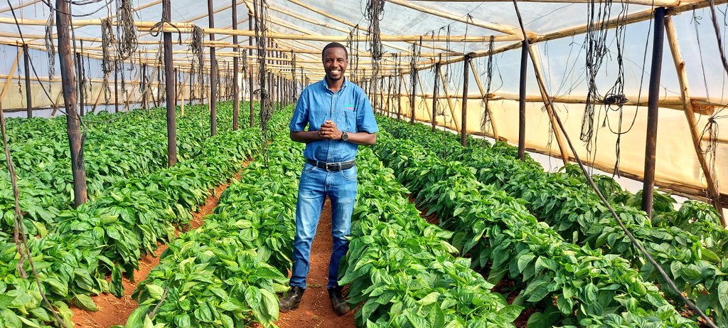 Mudumenwemari..Int'l tweet media