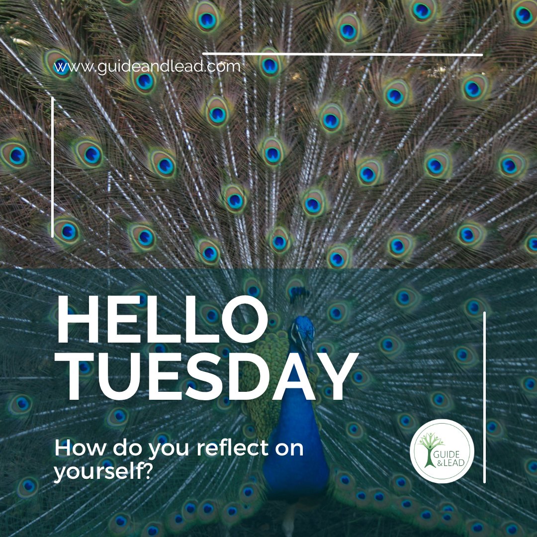 Guide_and_Lead's tweet image. Simply receiving feedback is often not enough, because here too we have activated filters that allow us to hear what we already know or want to hear - whether it be positive or negative. So how do we get ourselves out of the comfort zone of our  narratives in order to reflect?