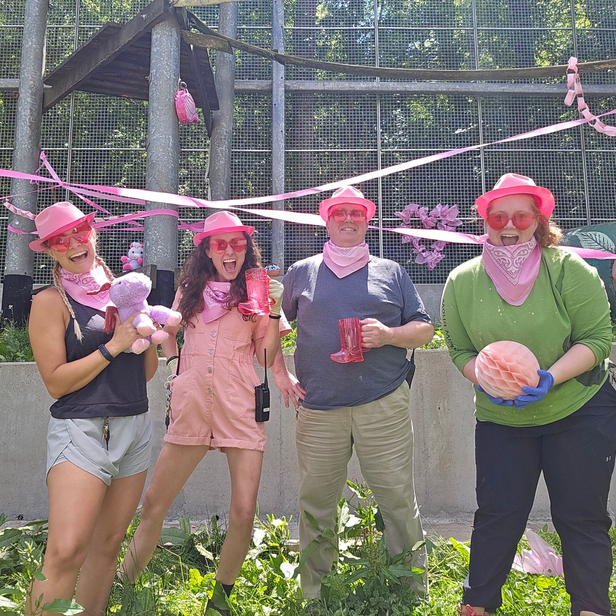 prim8rescue's tweet image. The care staff had a blast decorating for Jenny's 30th b-day party! More photos and video coming soon! Thank you to everyone who donated items to make this pink pony party an amazing experience for Jenny and the chimps!🦄🌸🩷
#pinkponyparty #chimps #lifetimeofcare #caregiversrock