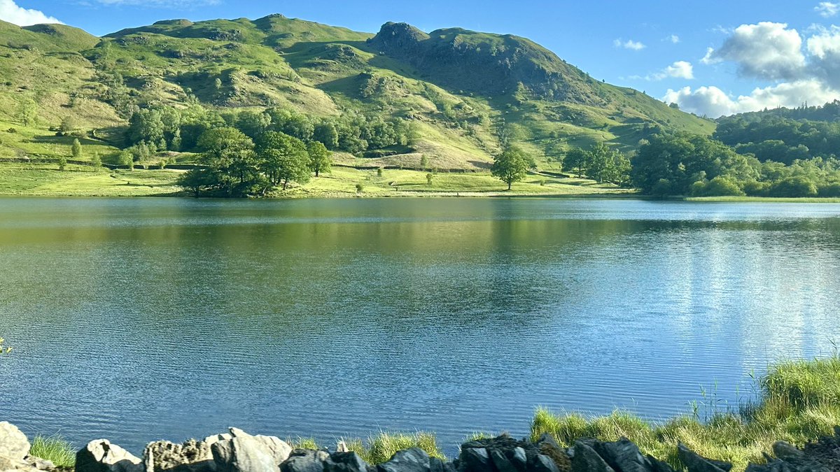 Angela Brady tweet media