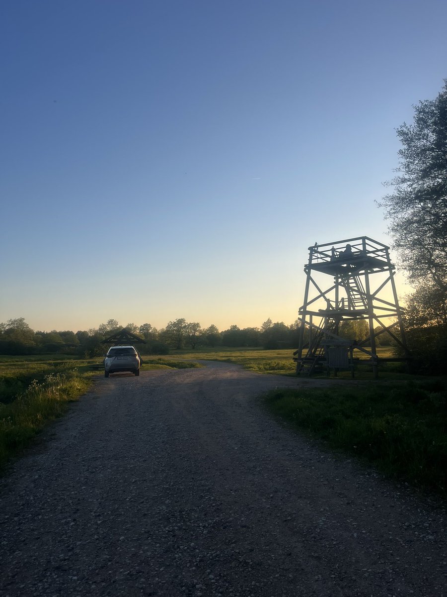 Ben Collins-Smith tweet media