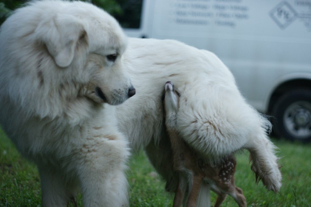 headhort (@headhort) on Twitter photo 