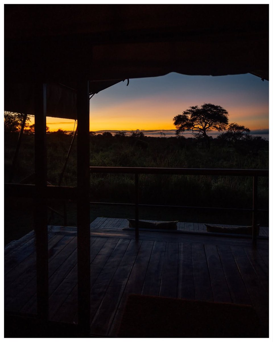 tw_donbrilliant's tweet photo. Where wilderness whispers luxuryโDunia Camp is where your soul exhales.
#AsiliaDuniaCamp #Tanzania #TravelAfrica #SerengetiMagic #LuxurySafari #BucketListTravel #EscapeToAfrica #WhereNatureSpeaks #WildernessRetreat #CampInStyle https://t.co/lMOJDYPVbj