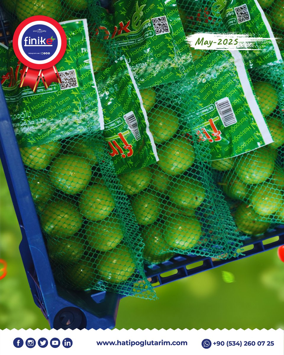HatipogluTarim's tweet photo. 🌿🍏 Plum Season is Open at Hatipoğlu Tarım! 🍏🌿

Enjoy the freshness of our hand-picked, delicious plums! ☀️🍽️
From the branch to your table, the freshest plums are here! 🚜

#FreshPlums  #Nature #PlumSeason  #FromFarmToTable #OrganicFruits https://t.co/HUwnwtb27I
