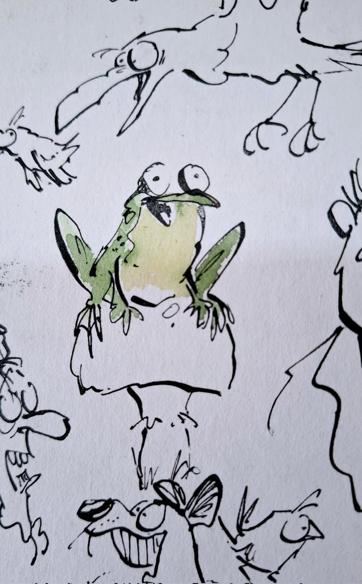 sketchbook back cover: Frog &amp; Co...