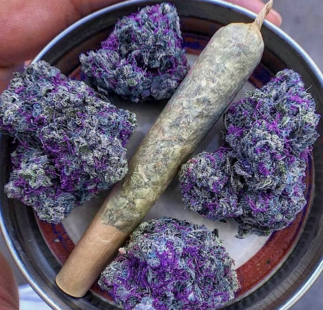 Name this strain! 🫐🍇