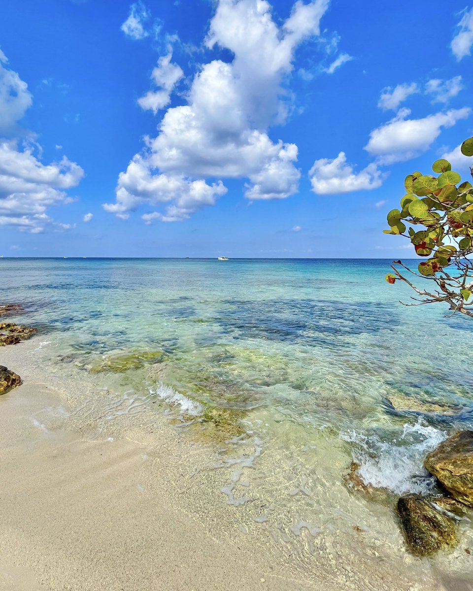 ¡Así se encuentran las playas de Cozumel hoy 27 de Mayo! ✨
Limpias, cálidas y #SinSargazo 🌊

#Cozumel #PlayasLimpias #CaribeMexicano