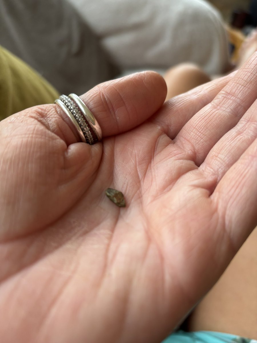 elliott_barlow's tweet photo. @marksandspencer Thai box meal tonight contained a stone!!! Nearly broke a tooth! What on earth ? https://t.co/45Hfy4TOhB