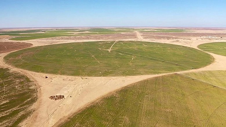 في صحراء محافظة المنيا الشاسعة بجنوب مصر، تتكشف بهدوء "ثورة حلوة" ذات مغزى عميق! 🍭
وفي إطار تعاون ثلاثي بين الصين ومصر والإمارات العربية المتحدة، ينمو مشروع "قناة السكّر" بشكل مطّرد. حيث تقدّم دولة الإمارات العربية المتحدة التمويل 💰، وتوفر مصر الأرض الحاضنة للمشروع، بينما تزود