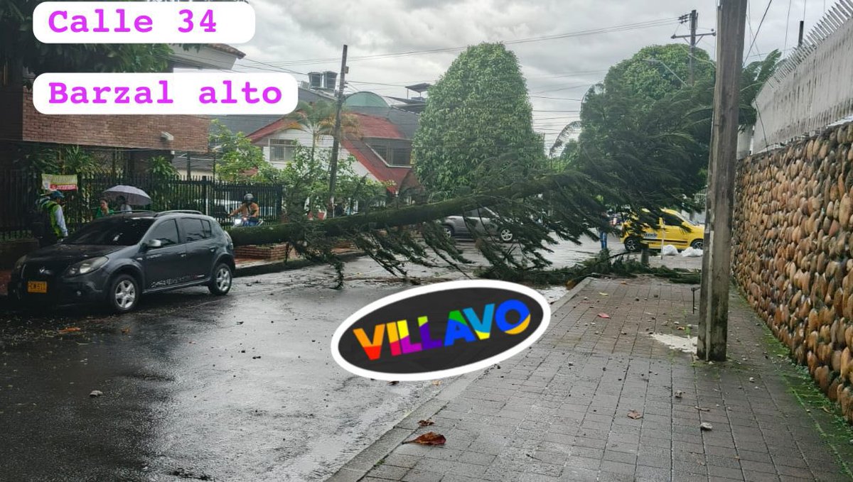 Un árbol 🌳 cayó sobre la calle 34 del barrio Barzal #Villavo 
🚫 vía cerrada temporalmente