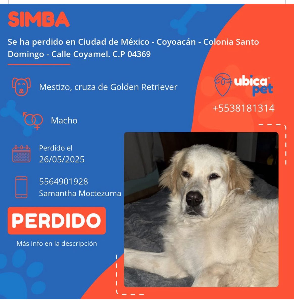 <a href="/En_laDelValle/">En la Del Valle</a> <a href="/La_Portales/">Colonia Portales</a> <a href="/En_Narvarte/">Colonia Narvarte</a> <a href="/MascotaCoyoacan/">Mascotas Coyoacán 🐾</a> <a href="/SoporteCoyocan/">Soporte Coyoacán</a> <a href="/MascotasSismo/">Mascotas Sismo</a> <a href="/PrrosPerdidosMX/">PerrosPerdidosMx</a> <a href="/perrososmx/">🅿🅴🆁🆁🅾🆂🅾🆂🅼🆇</a> <a href="/CopilcoUniv/">Colonia Copilco Univ</a>
