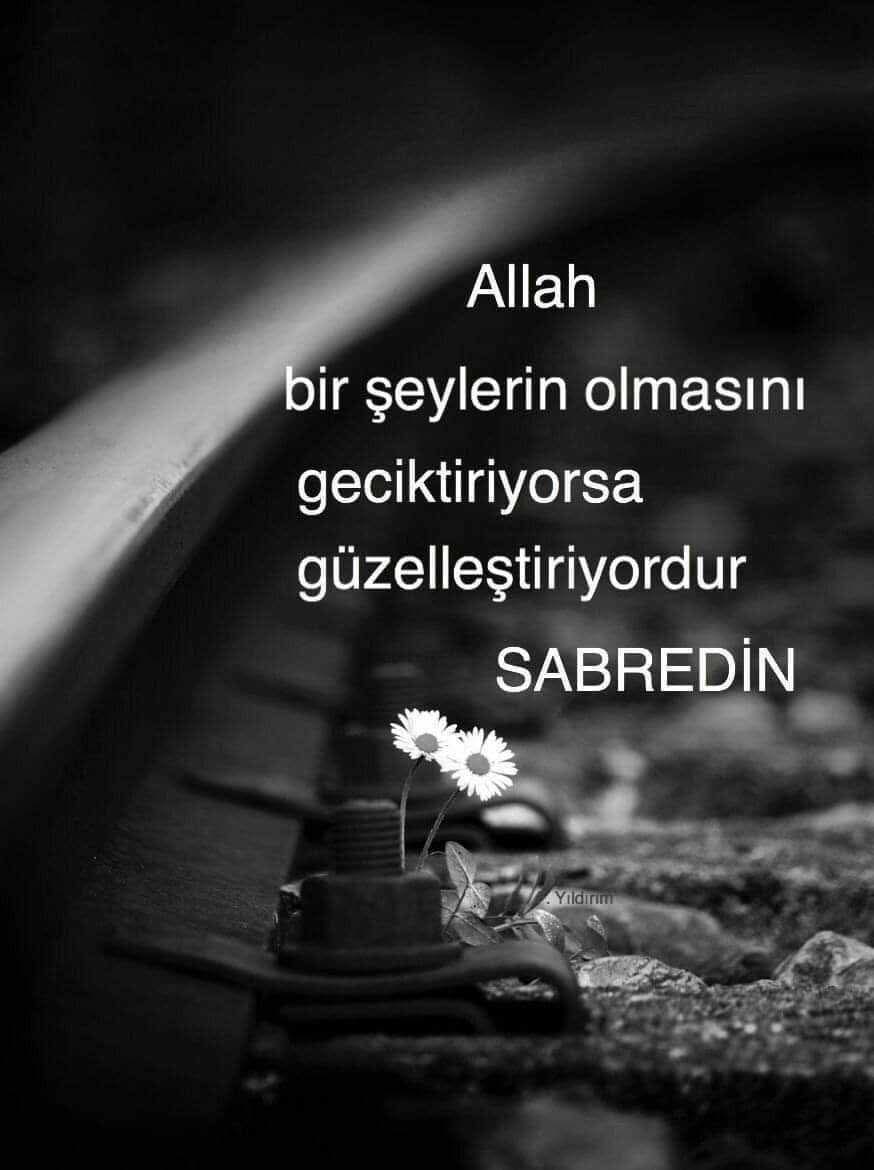 Adanalı Metin (@01adanametin) on Twitter photo 