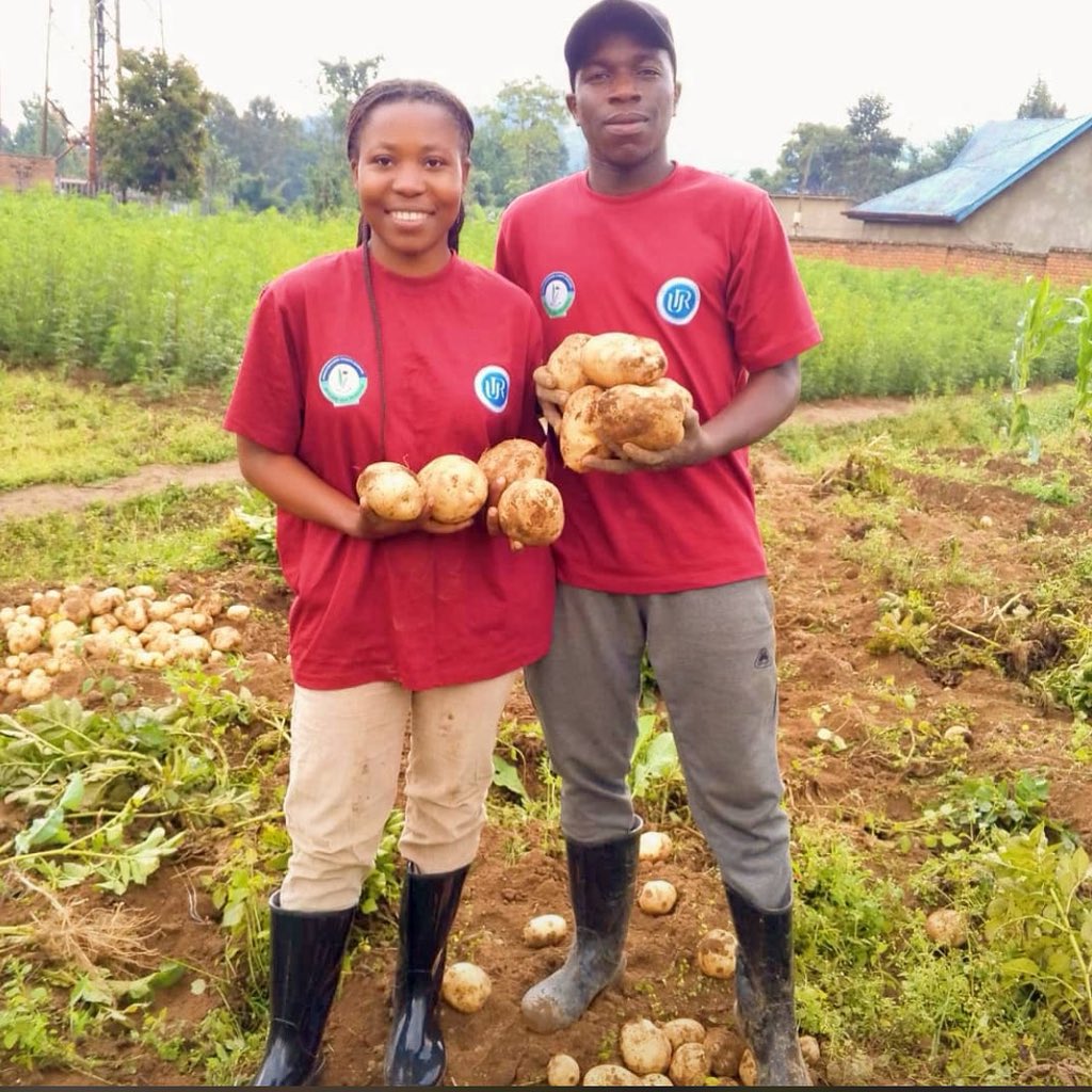 RCSSAgriTalk's tweet image. 🌱 Empowering Future Plant Doctors 🌾💪🏽

The  @RwandaCSSA (RCSSA), believes that  the future of agriculture must be inclusive, innovative, and informed.

#RCSSA #WeforChange #GenderEquityInFarming #FuturePlantDoctors #SustainableAgriculture  #AgroLeadership #InclusiveAgriculture
