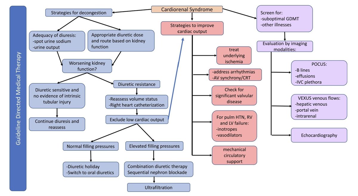 Kidney Dysfunction in Heart Failure: Core Curriculum 2025

1- beneficio en descongestión y desenlaces clínicos: mortalidad. Rehospitalización por falla cardiaca con diferentes estrategias de bloqueo secuencial de la nefrona

10.1053/j.ajkd.2024.12.006