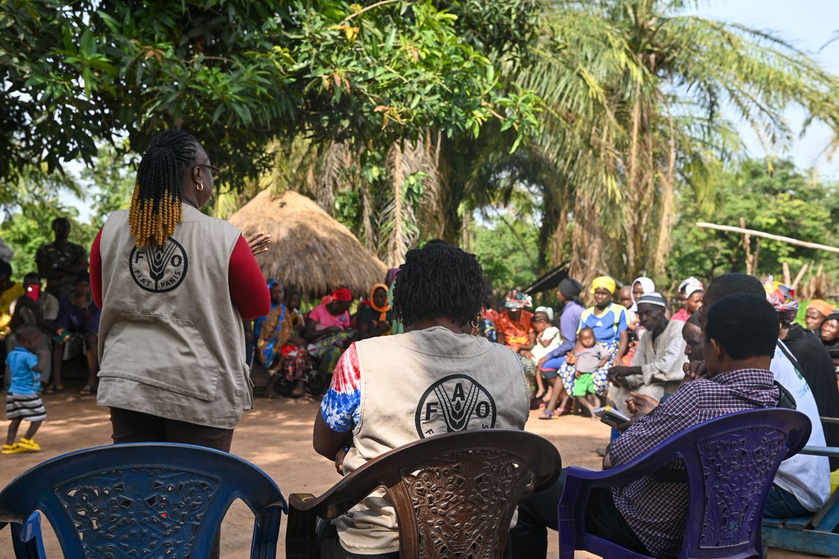 Kicking off change in S/Leone🇸🇱!
A stakeholder workshop has launched the <a href="/mercyshipsau/">Mercy Ships Australia</a> Sustainable Agriculture &amp; Livestock Project in Falaba District.
The project aims to build resilience, improve livelihoods, &amp; promote peaceful, climate-smart farming.
#Mercyship #FoodSecurity