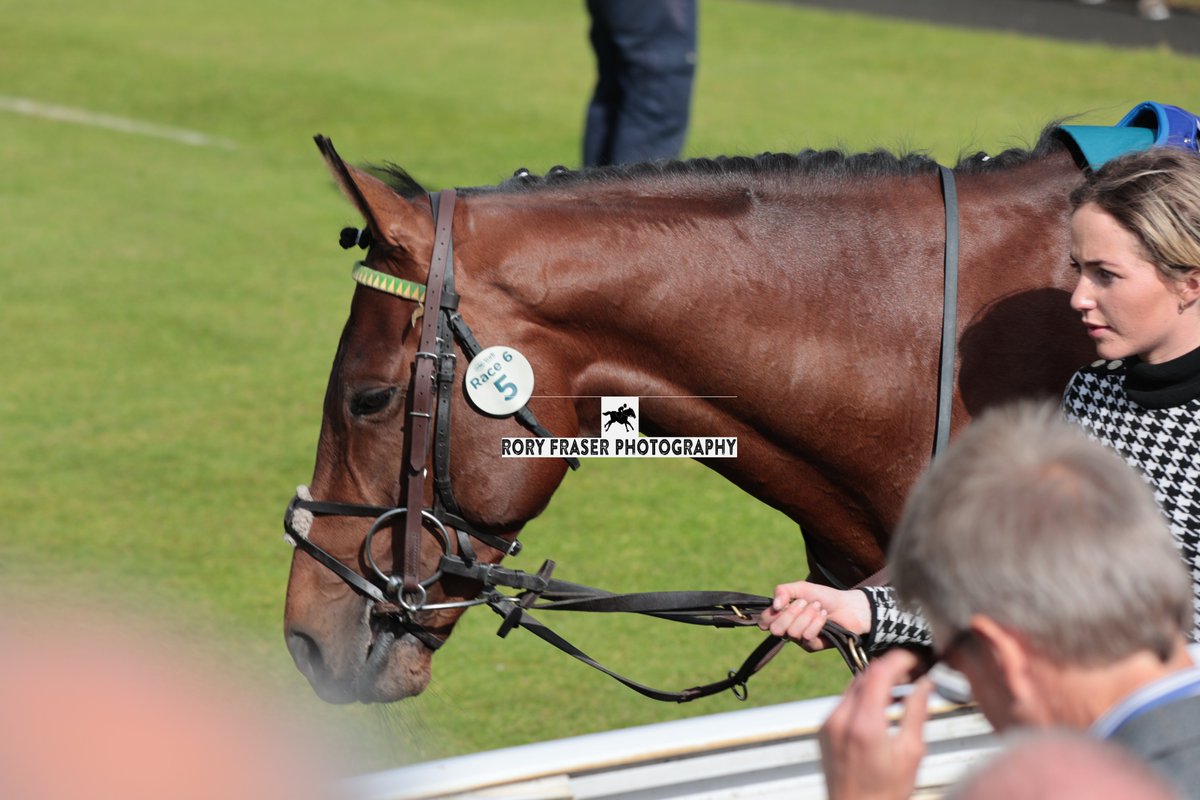 Rory Fraser Photography🤘 (@92roryf) on Twitter photo GOING COMMANDO (Soldier's Call x Souter's Sister) at York during the Dante Festival for a class two novice (6f)
Trained by <a href="/adrian_keatley/">Keatley Racing</a> and owned by Keatley Owners' Group, Hart & O'Neill.
A half brother to listed race winner and Group Two runner up Mia Tesoro. GOING COMMANDO (Soldier's Call x Souter's Sister) at York during the Dante Festival for a class two novice (6f)
Trained by <a href="/adrian_keatley/">Keatley Racing</a> and owned by Keatley Owners' Group, Hart & O'Neill.
A half brother to listed race winner and Group Two runner up Mia Tesoro.