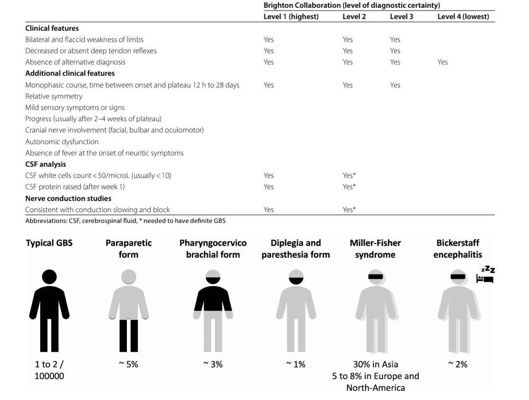 Critical insights for intensivists on Guillain-Barré syndrome

annalsofintensivecare.springeropen.com/articles/10.11…