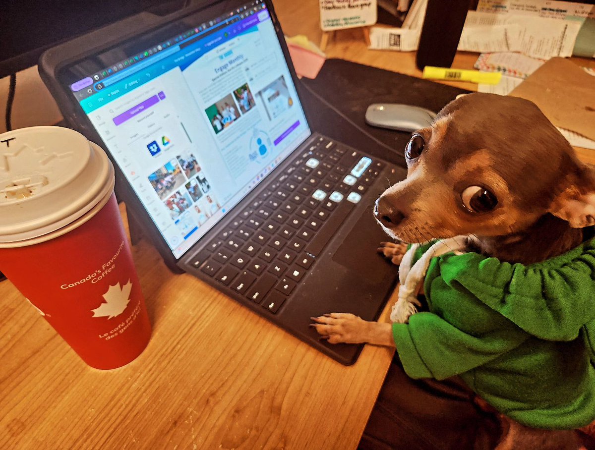 TheBridgeCtr's tweet photo. Not only is she a #therapist , #peersupporter and #roomba - She's our new Social Media Coordinator, #BambiTheBridgeDog 🐶
#Welcome #BridgeTheGap #SmokingCessation #CommunityEngagement #Research #CommunitySpace #WrapAroundSupport https://t.co/PqC3EmgvqR