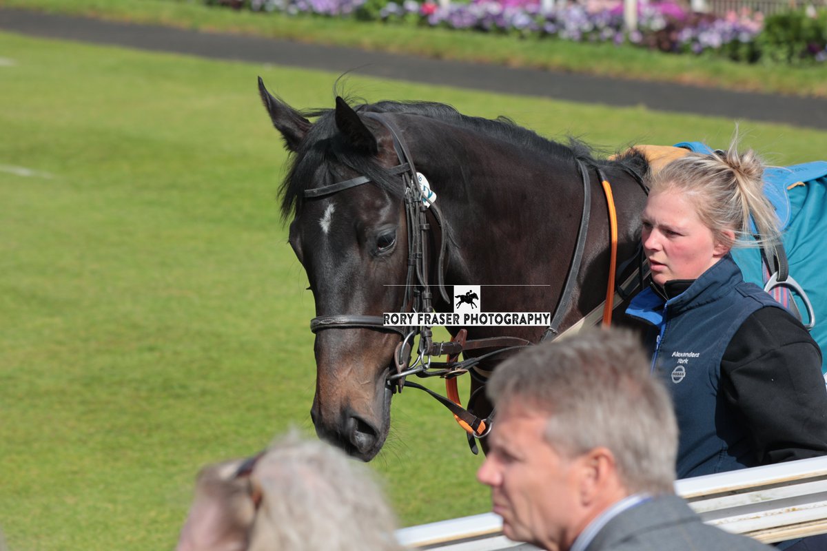 Rory Fraser Photography🤘 (@92roryf) on Twitter photo LINA CODINA (Sergei Prokofiev x The Wee Barra) at York during the Dante Festival for a class two novice (6f)
Trained by <a href="/RacingNigel/">Nigel Tinkler Racing</a> and owned by MPS Racing & Partner.
Now unplaced in both starts to date and a half sister to Muchas Gracias, a two time winner in France. LINA CODINA (Sergei Prokofiev x The Wee Barra) at York during the Dante Festival for a class two novice (6f)
Trained by <a href="/RacingNigel/">Nigel Tinkler Racing</a> and owned by MPS Racing & Partner.
Now unplaced in both starts to date and a half sister to Muchas Gracias, a two time winner in France.
