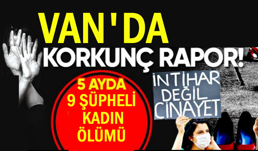 VanEkspres.com.tr tweet media