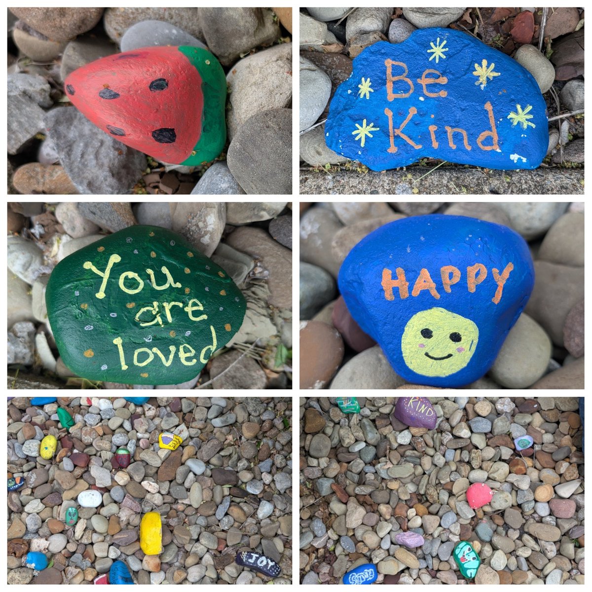 The Defer students each painted a rock to place in front of our school. <a href="/HDISchool/">Defer Intermediate School</a> <a href="/StreetsboroSD/">Streetsboro Schools</a>