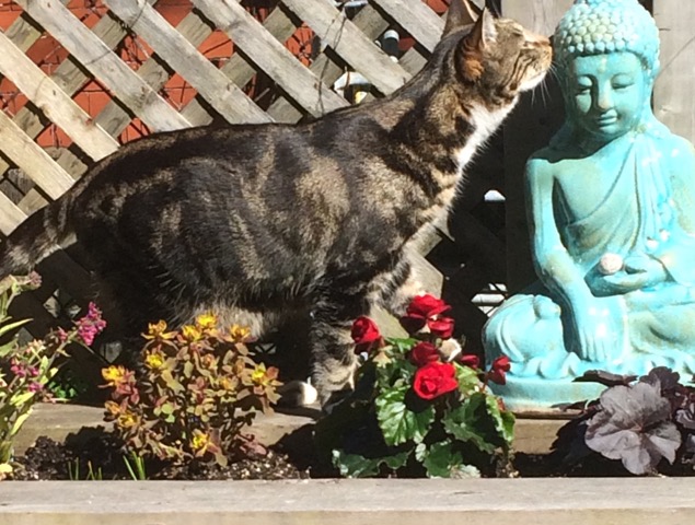 gowermaven's tweet photo. @SlenderSherbet Kissed the Buddha https://t.co/mgJiXPZ7Y4