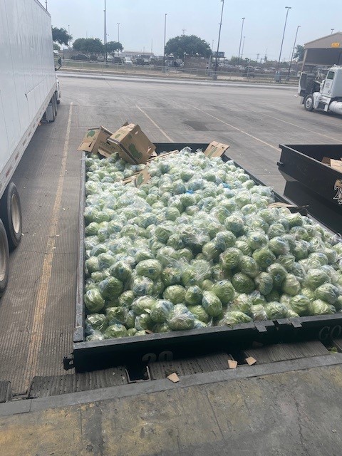 DEAHOUSTONDiv's tweet photo. It’s not lettuce…… it’s a lot of meth hidden in lettuce. DEA Houston Division seized over 600 kg of crystal meth at the Pharr, Texas Port of Entry. Thanks to @CBPSouthTexas , @DFOLaredo and HSI for their assistance on this case. #methseized #deahoustondivision https://t.co/OBzvMSxvgs