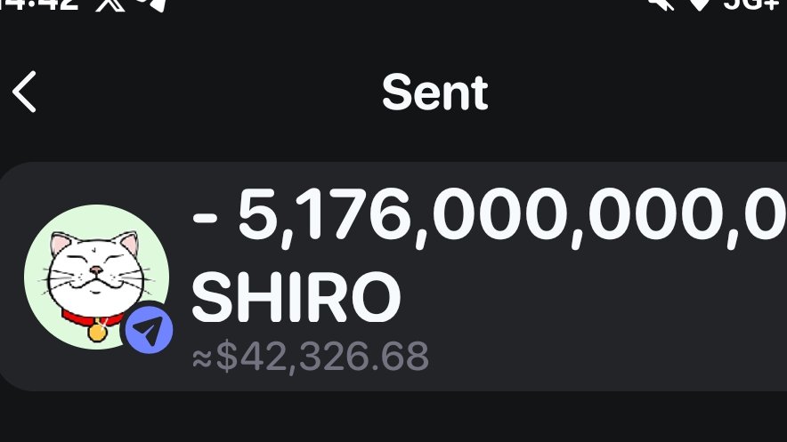 Shiro Neko tweet media