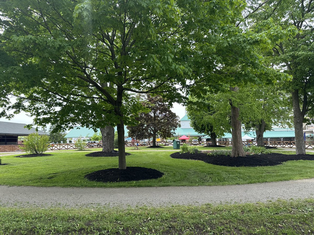 ashley_mailloux's tweet photo. We are back @Forterieracing! First post is in 40 minutes at 4:30 PM ET. ☺️
8 races on tap (all dirt) with just two scratches on the program. Total of 65 horses running.
Best of luck wagering and to today’s connections! #SupportTheFort https://t.co/68ViqSFc9y
