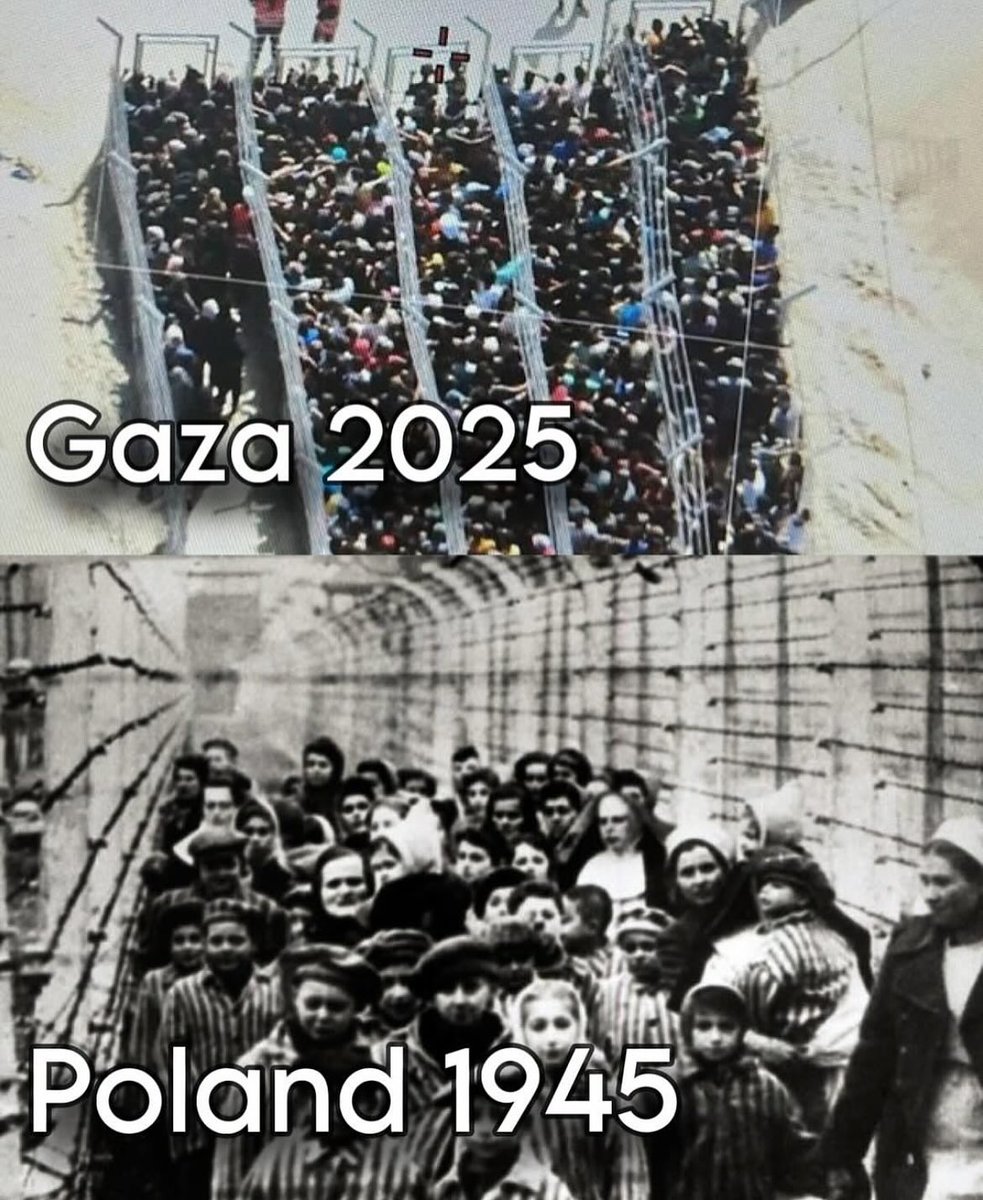 hussedogru's tweet image. No words...