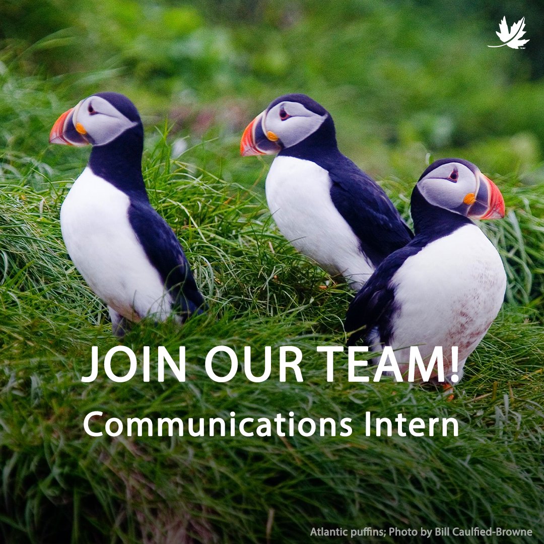 Launch your conservation communications career with real-world impact! 🌿 We're hiring a Communications Intern to help tell the stories behind our conservation work. Apply today: brnw.ch/21wSXYC