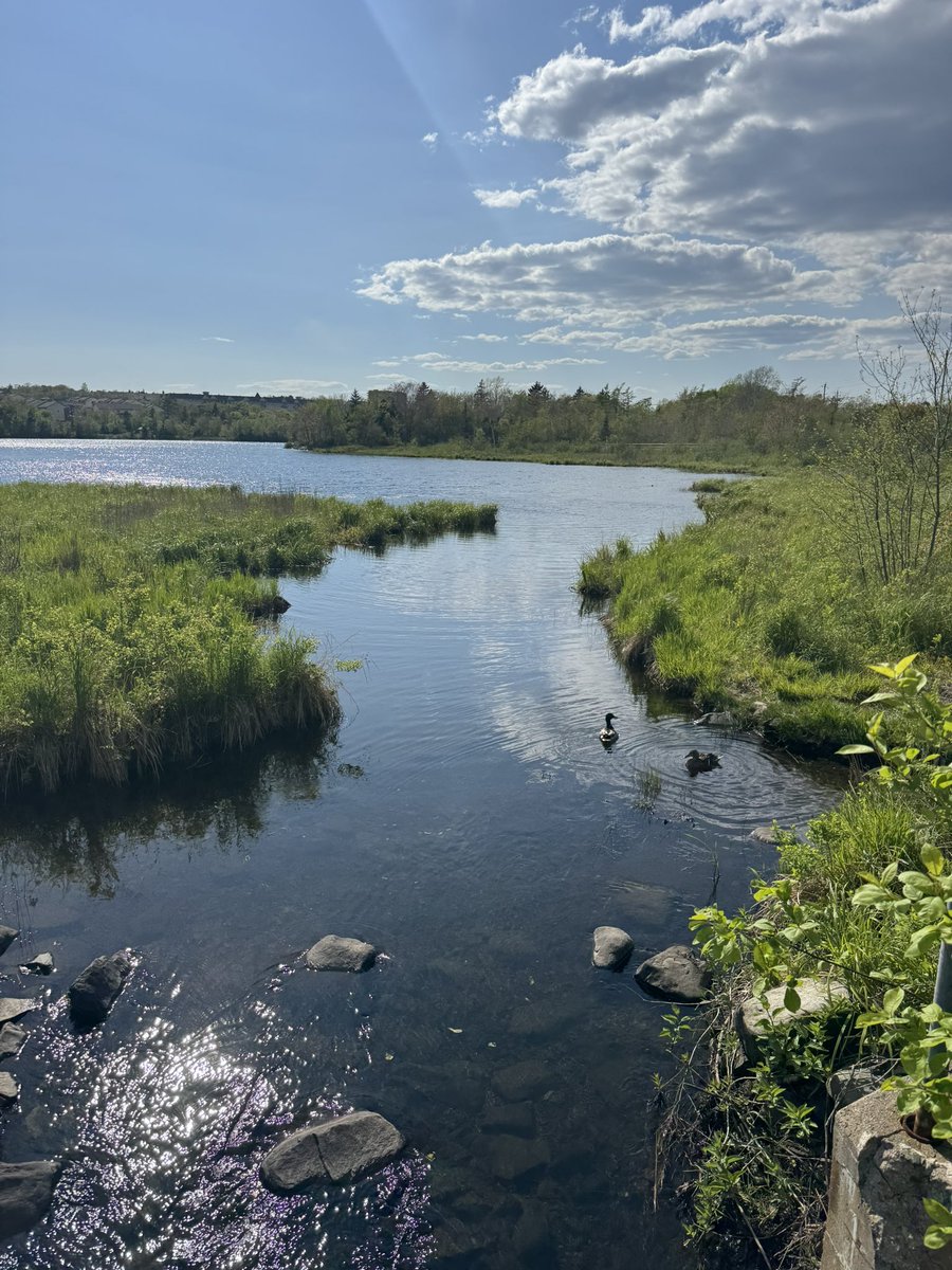 Can it just stay like this?☀️