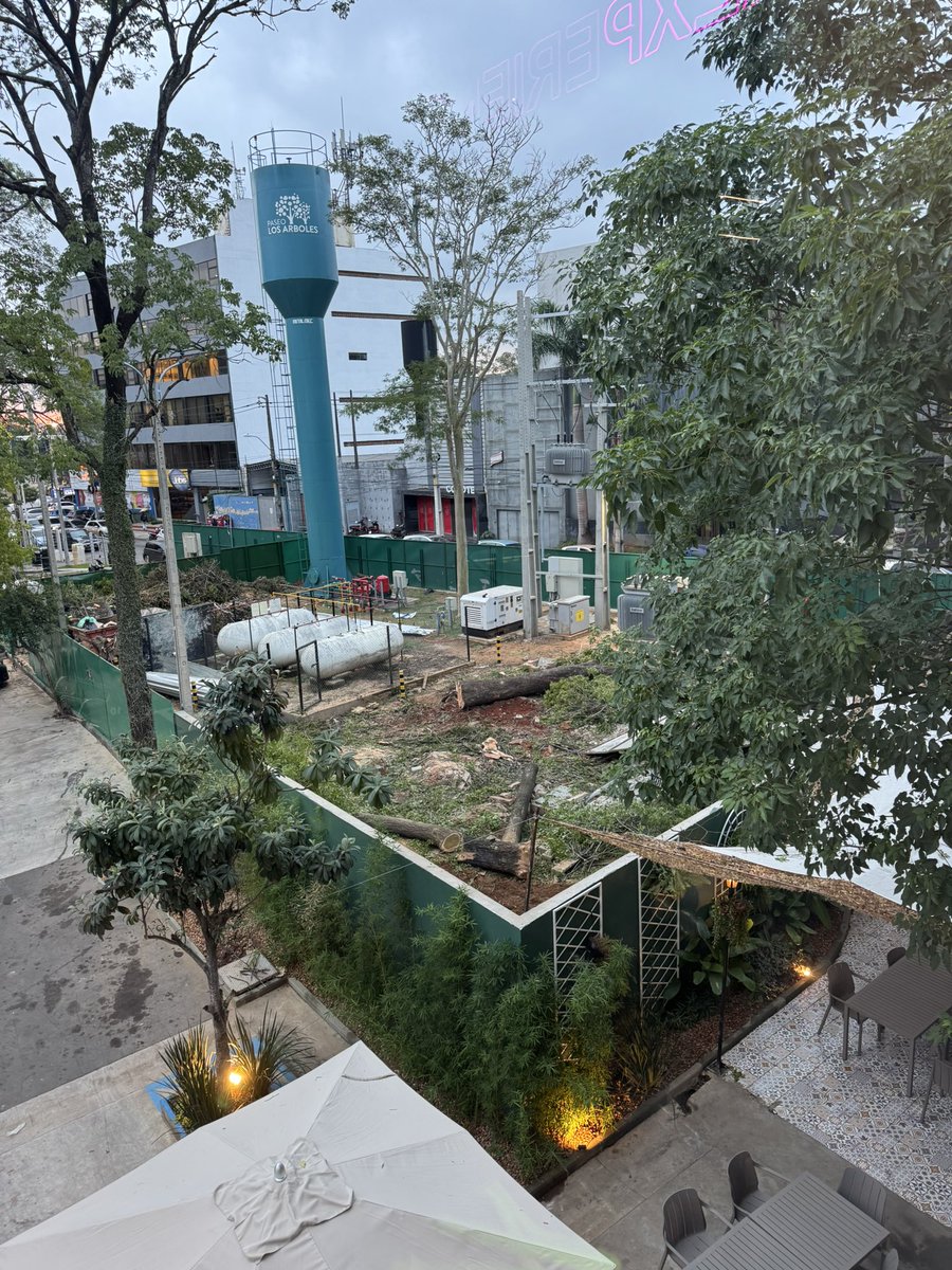 En un Paseo llamado Los Arboles fueron sacrificados dos ejemplares centenarios. La <a href="/AsuncionMuni/">Municipalidad de Asunción</a> habrá autorizado ?