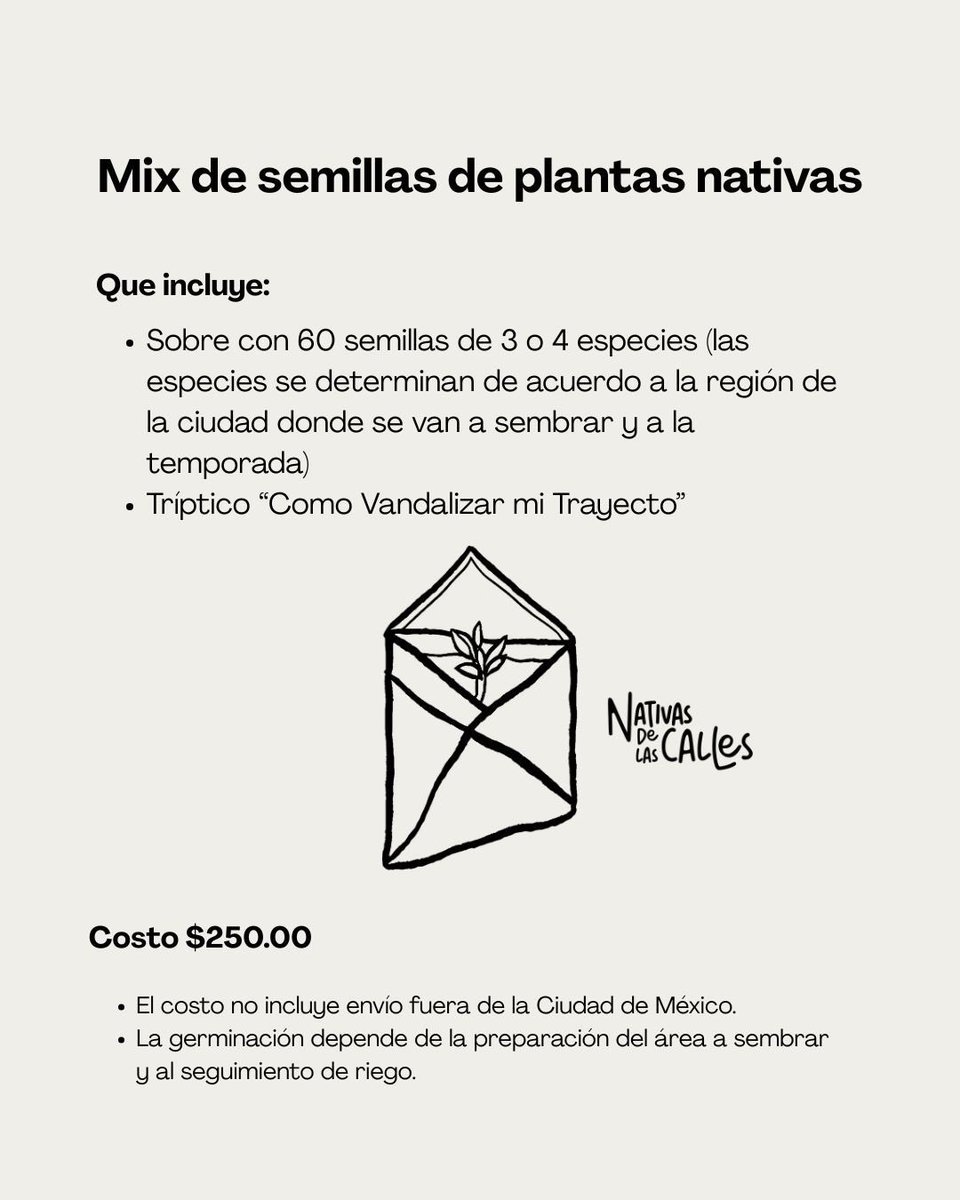 Nativas de las Calles tweet media