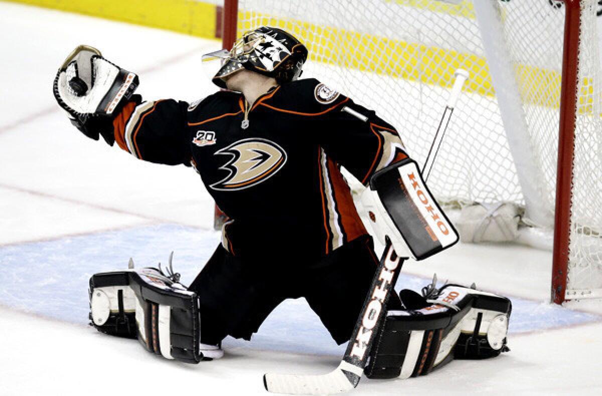 DucksDispatch tweet picture