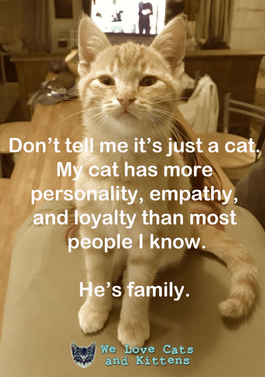 🥰 🥰 🥰