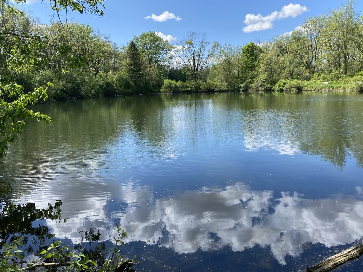 Jdavis_Halton's tweet image. Finally some sunshine in southern Ontario. It’s been a long time since we’ve seen blue skies and puffy white clouds. Our dog, Murphy, was happy, too. #LateSpring #MountPleasant #Nature  ⁦@weathernetwork⁩