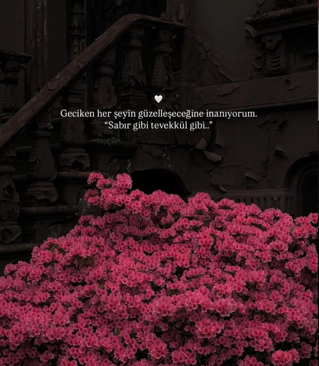 haklı (@asirihaklii) on Twitter photo 