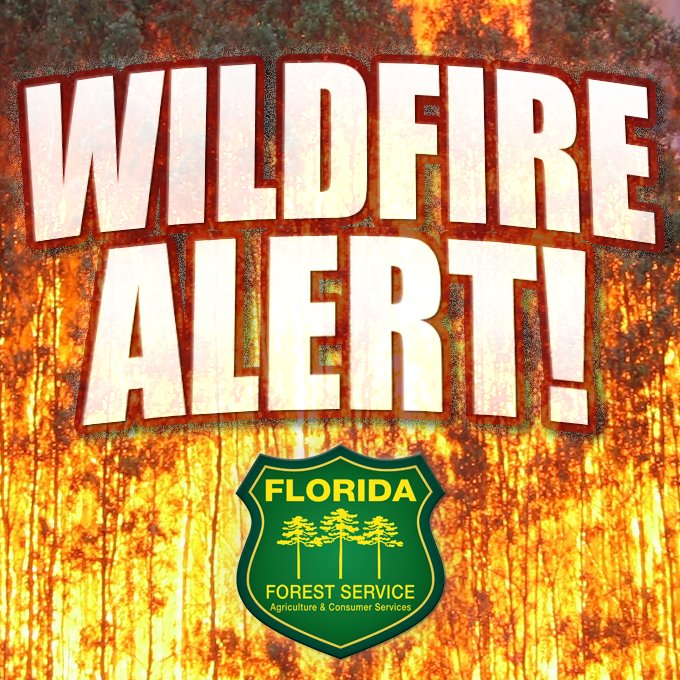 Location: Collier County, Near Newman Dr. Picayune Strand State Forest
Size Est: 85 Acres.   
Containment: 10%                   
Number of units on scene: 5 FFS Tractor-Plows, 2 Aircraft and local Fire Department. 
Exercise caution in the area.