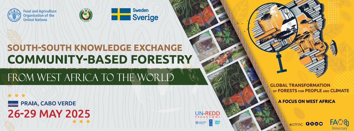 📢 The South–South Knowledge Exchange on Community-Based Forestry 🌳🌲kicks off soon in 🇨🇻 Cabo Verde. 

West African voices and global partners unite for forest solutions.

📍Praia City, 26 – 29 May

#SDG15

#Forests4People #ClimateAction #CommunityForestry